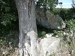 Dolmen Chantepierre