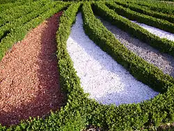 Broderie im Südgarten