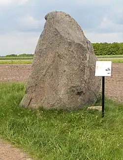 Findling aus Granit, Naturdenkmal, 10 Tonnen, 1986 gefunden