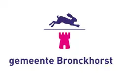 Flagge der Gemeinde Bronckhorst