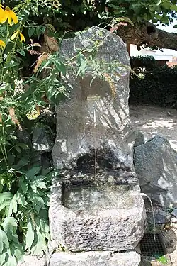 Der Brunnen an der Dorflinde (2012)