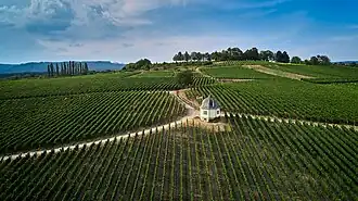 Blick auf die Bubenhäuser Höhe mit dem charakteristischen Tempelchen