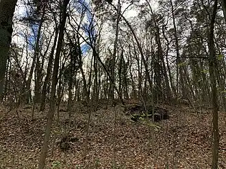 Judendicktenberg, Blick nach Süden