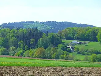 Büchelberg von Osten