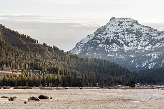 Abiathar Peak über dem Lamar Valley