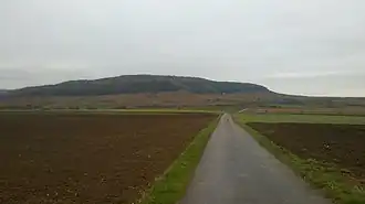 Der Bullenheimer Berg