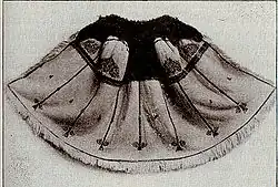 Siebenbürgen (1900)