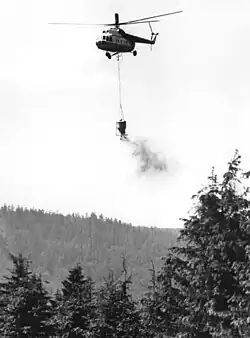 Agrarflieger beim Forstdüngen, 1987