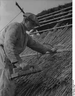 Dachdecker bei der Arbeit mit Reet