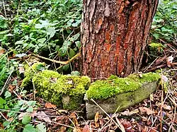 Eingefasster Baumstamm zur Tarnung am Bunker 293