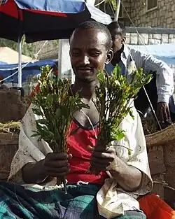 Mann mit zwei Sträußen einer Grünpflanze auf einem Markt