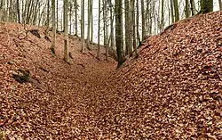 Graben zwischen Außenwerk und Vorburg