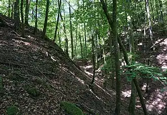 Halsgraben der Krandelburg bei Tegernau