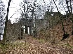 Gesamtansicht der Burg von Südwesten