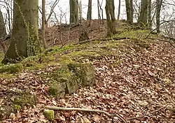 Mauerreste der Burg auf der Kuppe des Großen Everstein
