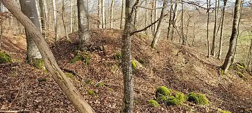 Burgstelle und Halsgraben