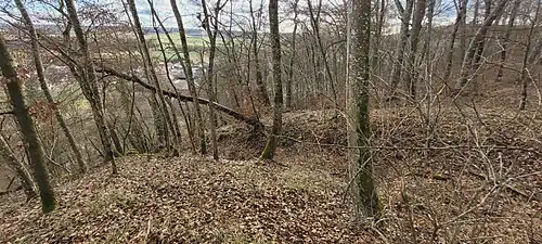 Nach Süden wurde der Aushub des Halsgrabens als Wall aufgeschichtet