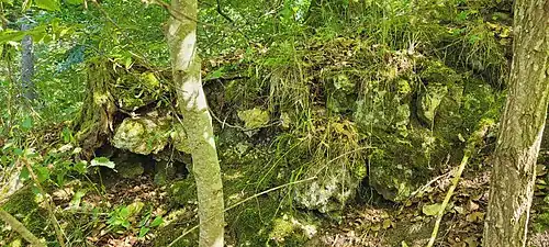 Vermutliche Mauerreste der Burg