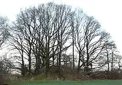 Ansicht von Süden (2015)