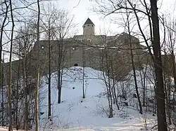 Burg Lichtenberg (Oberfranken)