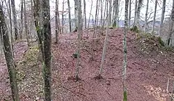 Bild 2: Das hufeisenförmige Plateau der Vorburg