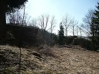 Blick von Nordosten über Vor- und Hauptburg – im Vordergrund links ein mutmaßliches Turmfundament