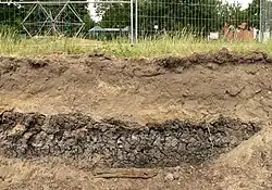 Torfschicht an der Grabungsstelle, die auf einst moorigen Untergrund hinweist, 2019