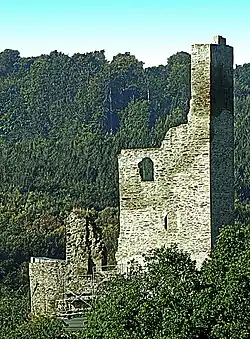 Burg Reichenstein 3