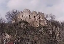 Palas der mittelalterlichen Burg, 1996