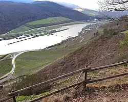Blick von der Zeltinger Höhe zur Burgruine rechts der Mosel oberhalb der Staustufe.