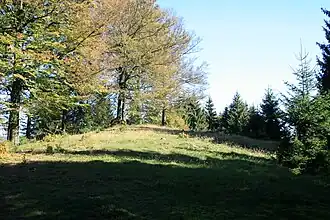 Blick zum Burgberggipfel