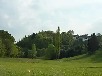 Der bewaldete Burgberg aus Nord-Ost