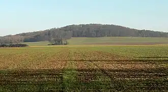 Blick von Westen auf den Burgberg mit dem Burgbergturm