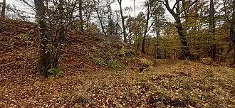 Verlandeter Graben vor dem Wall (SW-Ecke)