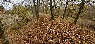 Burgwall im Westen (höchster Punkt)