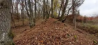 Standort Wall im Nordosten, Blick entlang der Wallkrone Ri. Westen