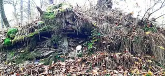 Neuzeitlicher Walldurchbruch im Westen des Burgrings