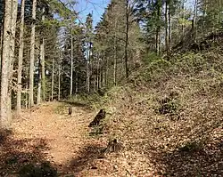 Bild 14: Zwingerbereich auf der Westseite der Kernburg