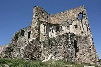 Burgruine Donaustauf