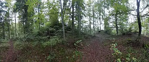 Burgplateau im Osten am Felssporn in die Wutachschlucht; Ringmauerreste sichtbar.
