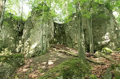 Bild 11: Vermutlich die Stelle des ehemaligen Aufganges zur Oberburg