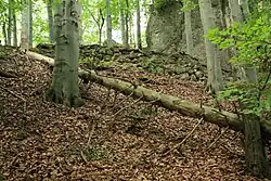 Bild 7: Ein Stück der südlichen Ringmauer