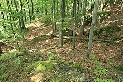 Bild 6: Ansicht der nördlichen Unterburg