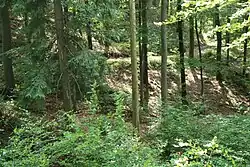 Bild 3: Blick auf den Burgweg von der Burg aus