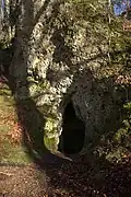 Höhlenportal der „Burghöhle in Wildenfels“, die vermutlich als Kellerraum genutzt wurde (Januar 2012)