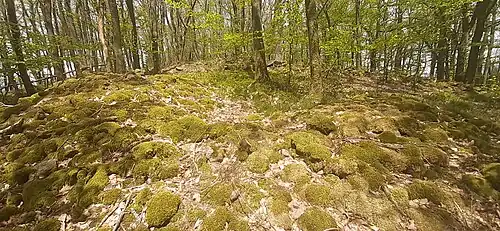 Reste eines Turmes auf dem Vorberg nördlich der Burgschell