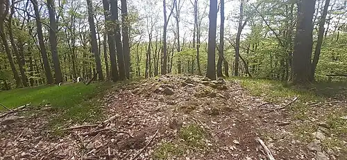 Reste eines vermuteten Steinturms auf dem Burgplateau