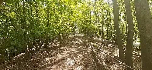 Zugangsgrat zur Burgstelle