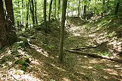 Bild 4: Das Ende des Wallgrabens an der Südseite der Burganlage