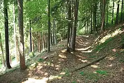 Bild 7: Der südliche Teil des Ringgrabens der Hauptburg (2010)